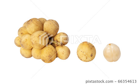 Lansium parasiticum fruit on a white background. Lansium parasiticum fruit on a white background. 66354613