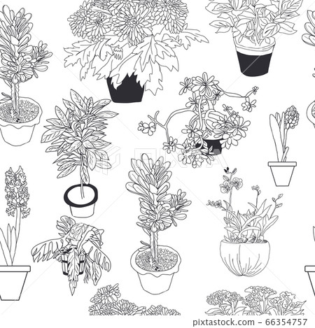 Seamless pattern of different house plants Seamless pattern of different house plants 66354757