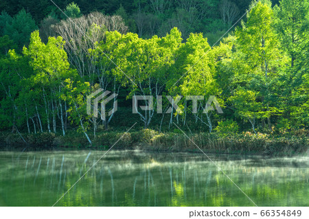《Nagano Prefecture》 Fresh green Kido pond・Shiga Kogen in early summer 《Nagano Prefecture》 Fresh green Kido pond・Shiga Kogen in early summer 66354849
