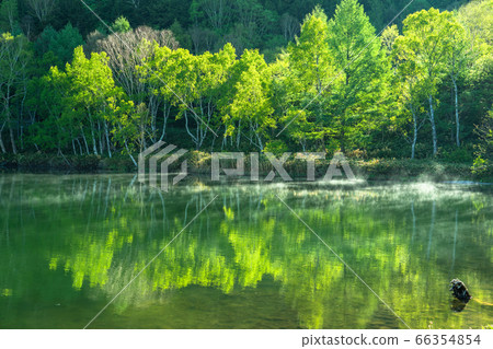 《長野縣》初夏的新鮮綠池堂・滋賀高原 66354854