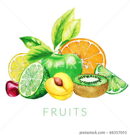 Heap of mixed fruits, hand drawn vector watercolor 66357055