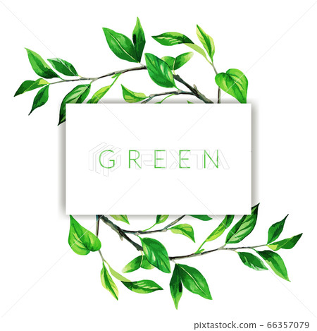Hand drawn watercolor branches with green leaves frame 66357079