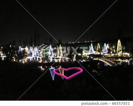 東南植物園的照明 66357851