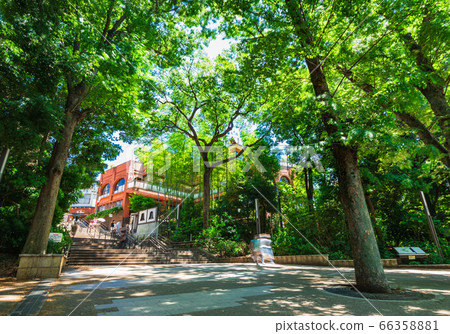 Tokyo Inokashira Park Tokyo Inokashira Park 66358881