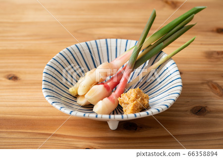 Yanaka ginger 66358894