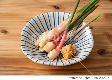 Yanaka ginger 66358896