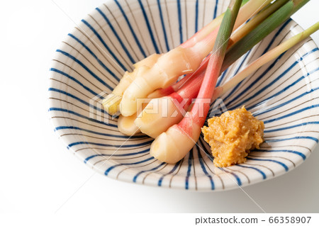 Yanaka ginger 66358907