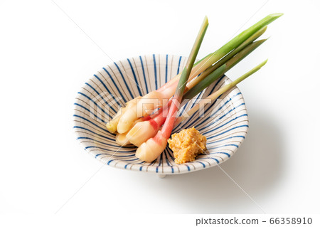 Yanaka ginger Yanaka ginger 66358910