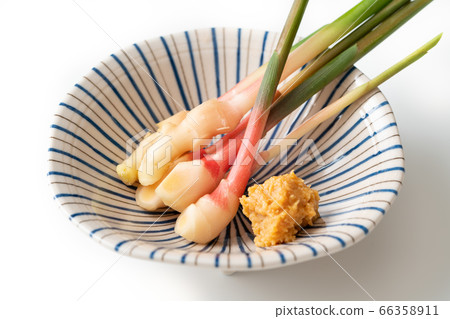 Yanaka ginger 66358911