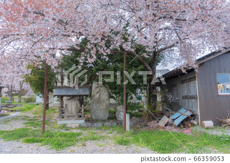 岩原公園Moso神[春季] 66359053