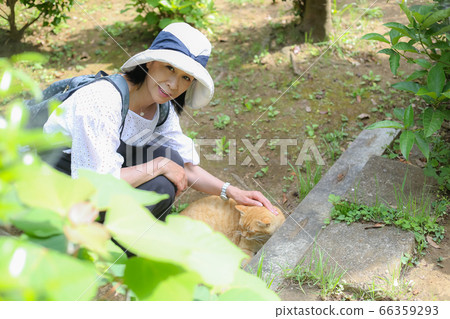神奈川縣藤澤市江之島市的旅行女孩 神奈川縣藤澤市江之島市的旅行女孩 66359293
