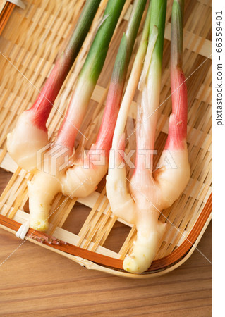 Yanaka ginger 66359401