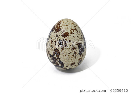 [Quail eggs] (depth synthesis) 66359410