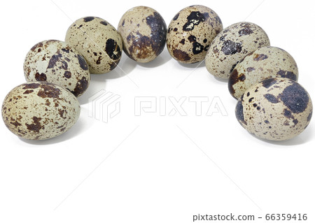 [Quail eggs] (depth synthesis) 66359416
