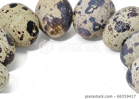 [Quail eggs] (depth synthesis) 66359417