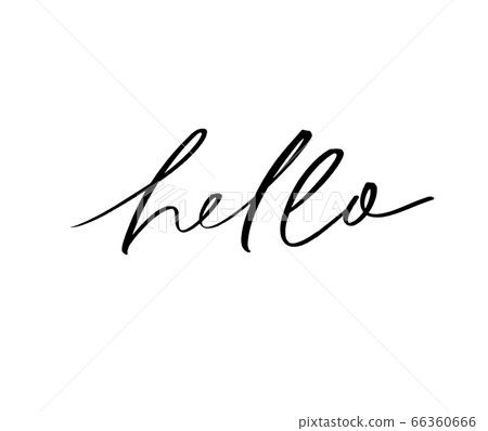 Hello ink brush vector lettering - Stock Illustration [66360666] - PIXTA