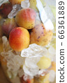 Homemade plum syrup in a storage container 66361889