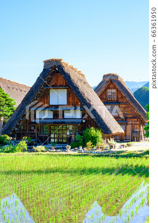 Shirakawa-go in the early summer (morning) Shirakawa-go in the early summer (morning) 66361950
