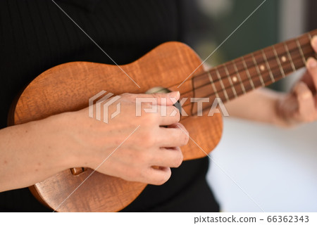 四弦琴 四弦琴 66362343