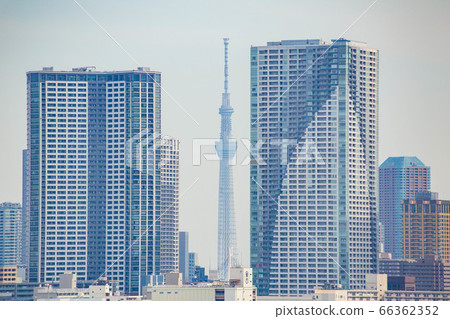 從彩虹橋東京天空樹看 從彩虹橋東京天空樹看 66362352