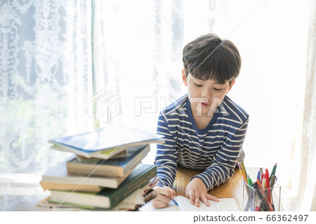 Lifestyle, Education Lifestyle, Education 66362497