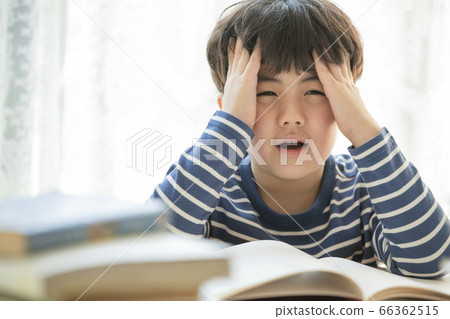 Lifestyle, Education Lifestyle, Education 66362515