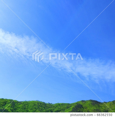 龍雲升騰 龍雲升騰 66362550