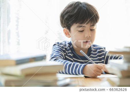 Lifestyle, Education 66362626