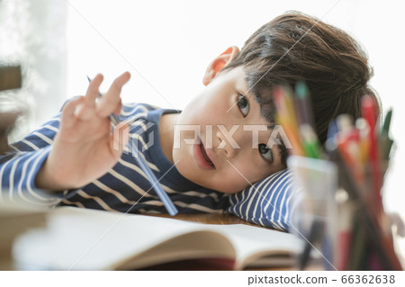 Lifestyle, Education 66362638