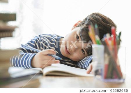 Lifestyle, Education Lifestyle, Education 66362686