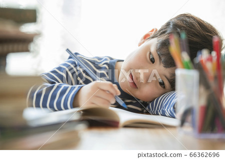 Lifestyle, Education 66362696