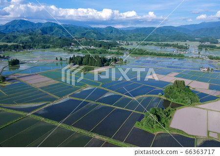 Aerial view of rural landscape after rice planting, June Akita Prefecture Aerial view of rural landscape after rice planting, June Akita Prefecture 66363717