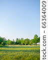 New green park and blue sky 66364009