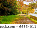 Spot-billed duck walks along the lake 66364011
