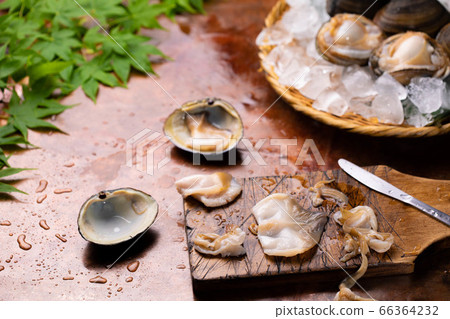 北海道北大井市 66364232