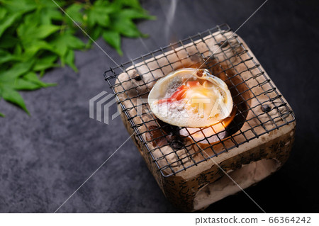 北海道北大井市 北海道北大井市 66364242