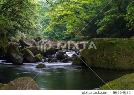 熊本縣菊池市的菊池谷在雨季和鮮綠色之間有一段清晰的時間流 66364683