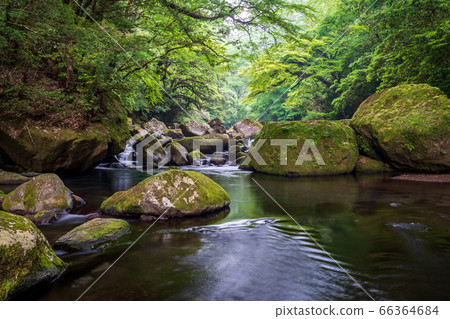 A clear stream of a clear time between the rainy season and the fresh green of the Kikuchi Valley in Kikuchi City, Kumamoto Prefecture 66364684