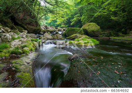 熊本縣菊池市的菊池谷在雨季和鮮綠色之間有一段清晰的時間流 66364692