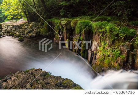 熊本縣菊池市的菊池谷在雨季和鮮綠色之間有一段清晰的時間流 66364730