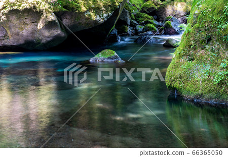 A clear stream of a clear time between the rainy season and the fresh green of the Kikuchi Valley in Kikuchi City, Kumamoto Prefecture 66365050