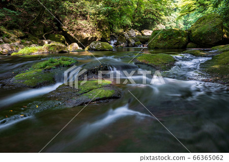 A clear stream of a clear time between the rainy season and the fresh green of the Kikuchi Valley in Kikuchi City, Kumamoto Prefecture 66365062
