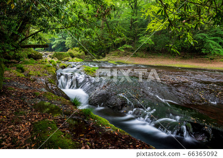 A clear stream of a clear time between the rainy season and the fresh green of the Kikuchi Valley in Kikuchi City, Kumamoto Prefecture 66365092