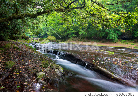A clear stream of a clear time between the rainy season and the fresh green of the Kikuchi Valley in Kikuchi City, Kumamoto Prefecture 66365093