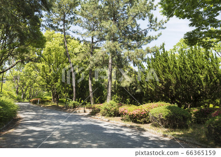 Senri Minami Park Senri Minami Park 66365159