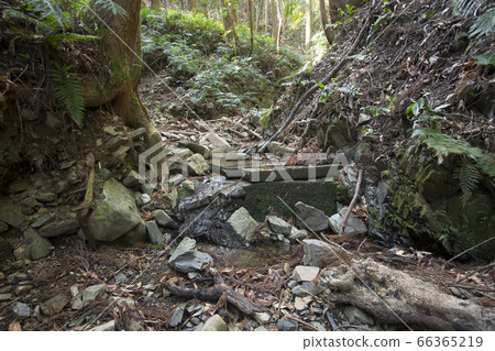 天草市Sakitsu天主教堂聖水攝入量 66365219