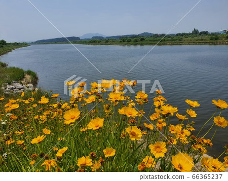 Scenery Scenery 66365237