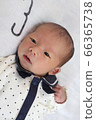 baby 66365738