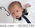 baby 66365740