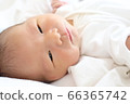 Newborn 66365742
